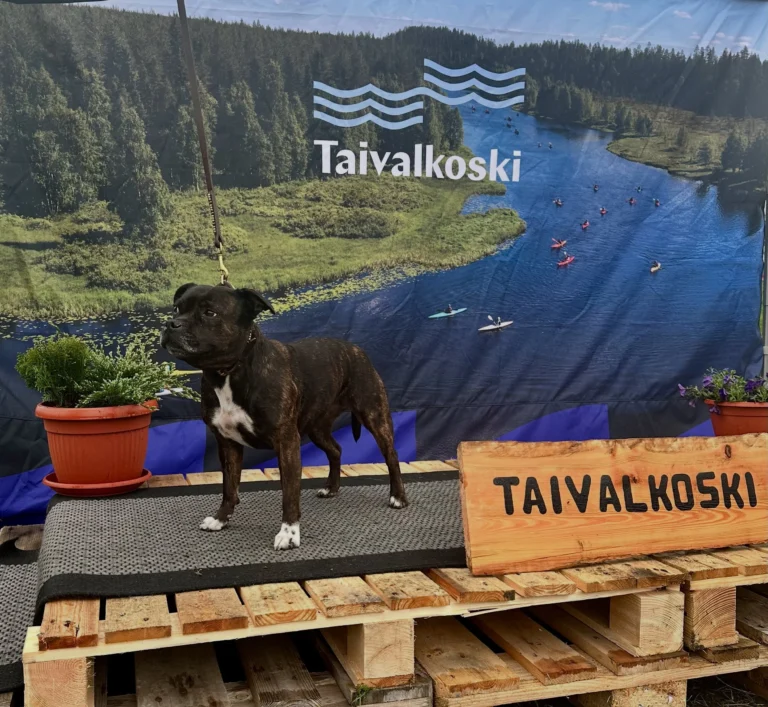 Taivalkoski RN 8.6.2025