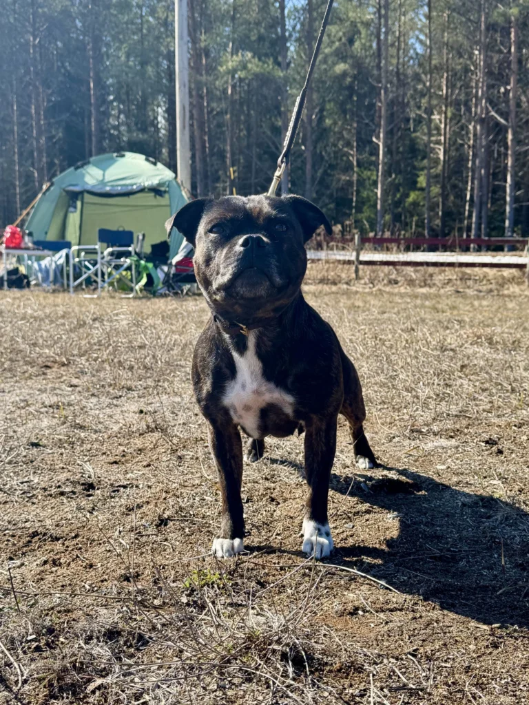 Kalajoki RN 4.5.2025