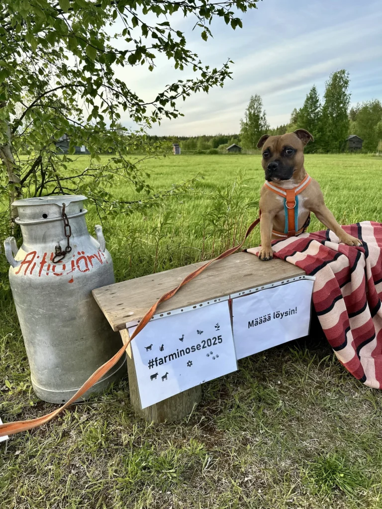 YEK1U Pudasjärvi 13.6.2025